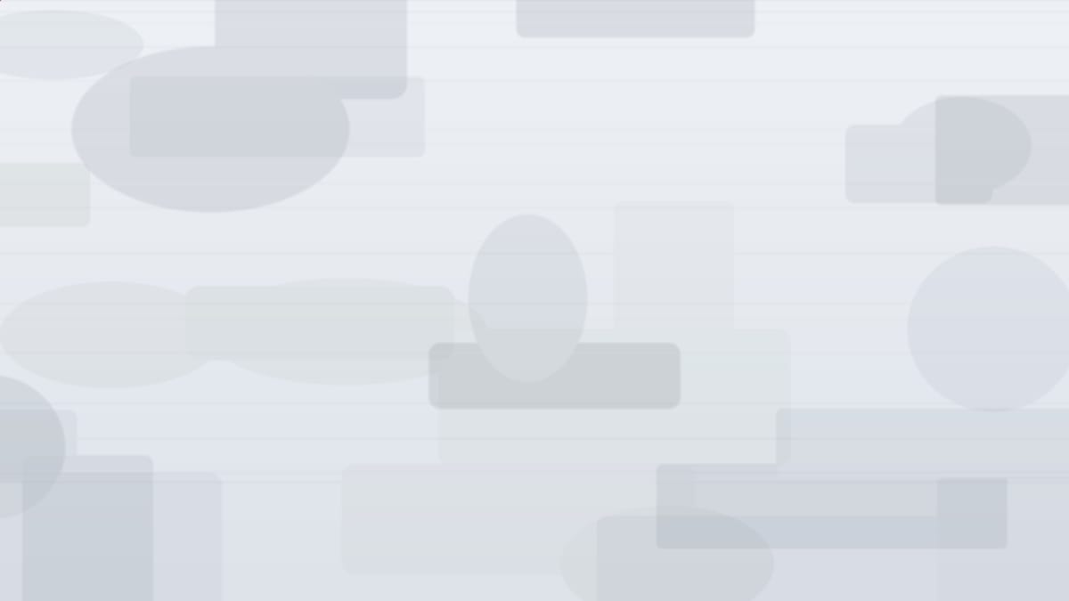 Solana 代币 BeiBei 推出，市值 3.51 万美元，持有者 1,648 名