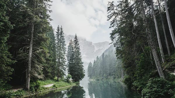 中东紧张局势和石油激增，美联储加息预期转向加息