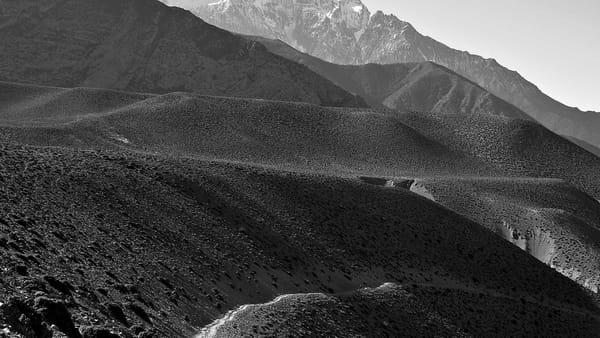 RBA 表示代币化每年可带来 167 亿美元的效率收益