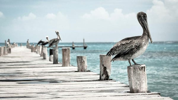 币安发布做市商指南，警告操纵风险