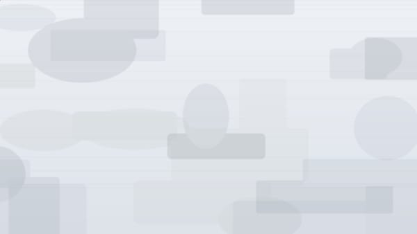 Solana 代币 BeiBei 推出，市值 3.51 万美元，持有者 1,648 名